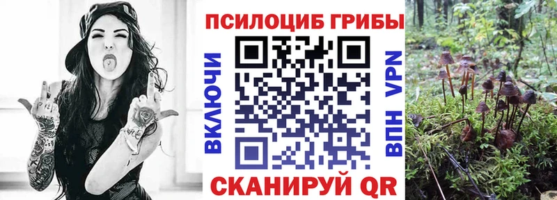 Псилоцибиновые грибы Psilocybine cubensis  Лагань 